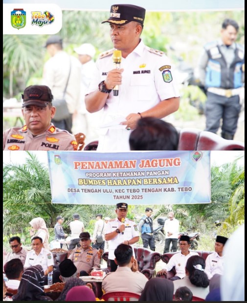 Penanaman Jagung Program Ketahanan Pangan Tahun 2025