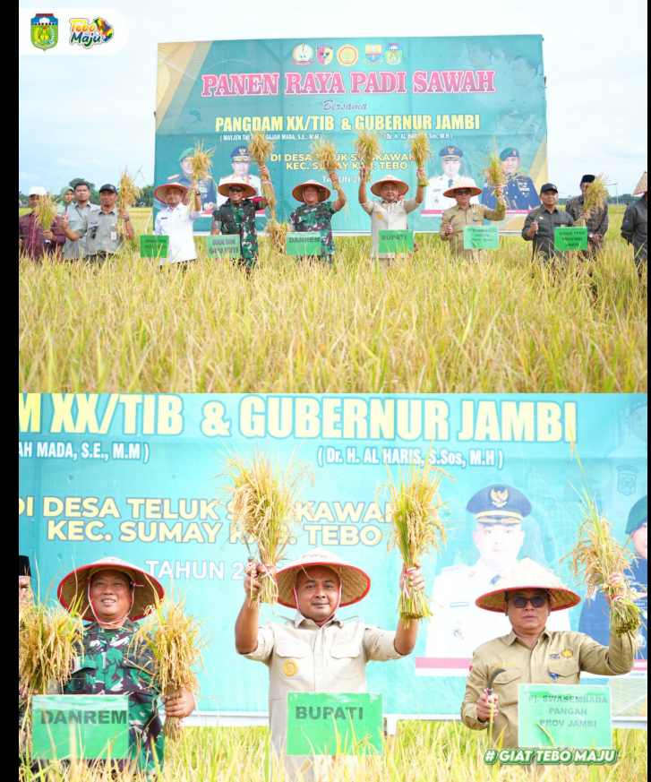 Bupati Tebo dan Danrem 042/Gapu Hadiri Panen Raya Padi Sawah di Desa Teluk Singkawang