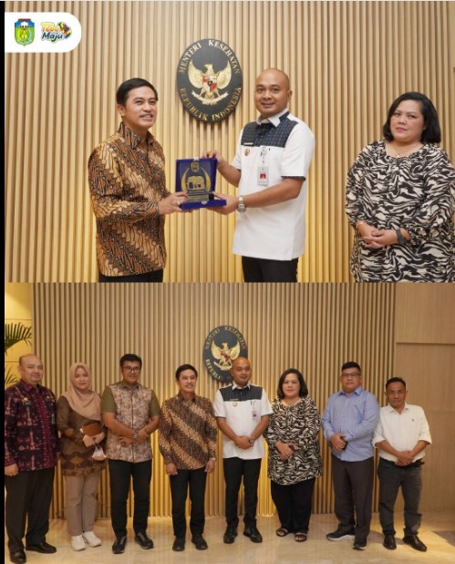 Bupati Tebo Audiensi Bersama Wakil Menteri Kesehatan RI