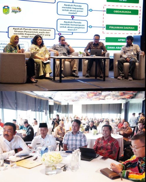 Asistensi Tata Kelola Pemanfaatan Pinjaman Daerah