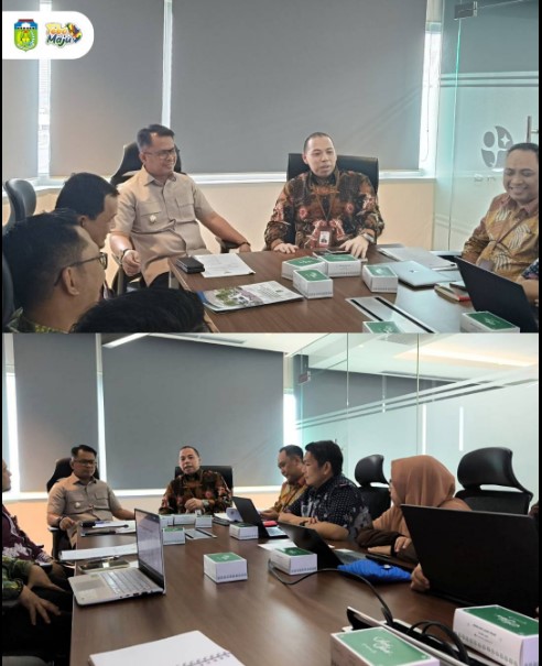 Wabup Tebo Lakukan Audiensi Kerja Sama dengan BRIN