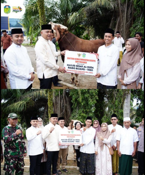 Bupati Tebo Serahkan Bantuan Kemasyarakatan Presiden Berupa Sapi