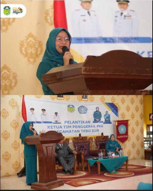 PELANTIKAN KETUA TP PKK KECAMATAN TEBO ILIR