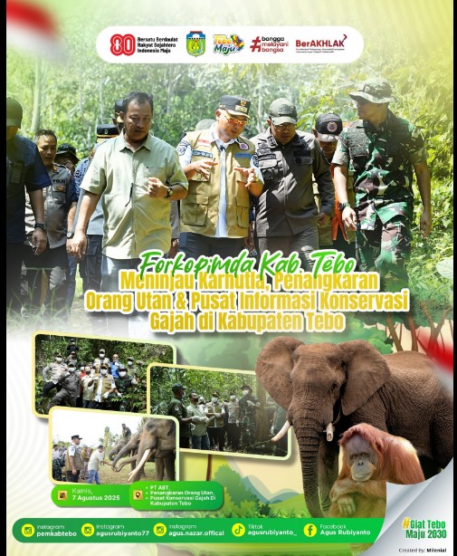 Forkopimda Kabupaten Tebo Tinjau Mitigasi Karhutla, Penangkaran Orangutan, dan Pusat Informasi Konservasi Gajah di Kecamatan Sumay